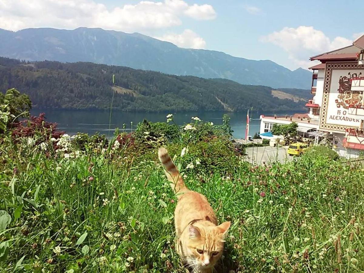 Appartamento Haus Kraller-Urlaub Mit Seeblick Millstatt Esterno foto