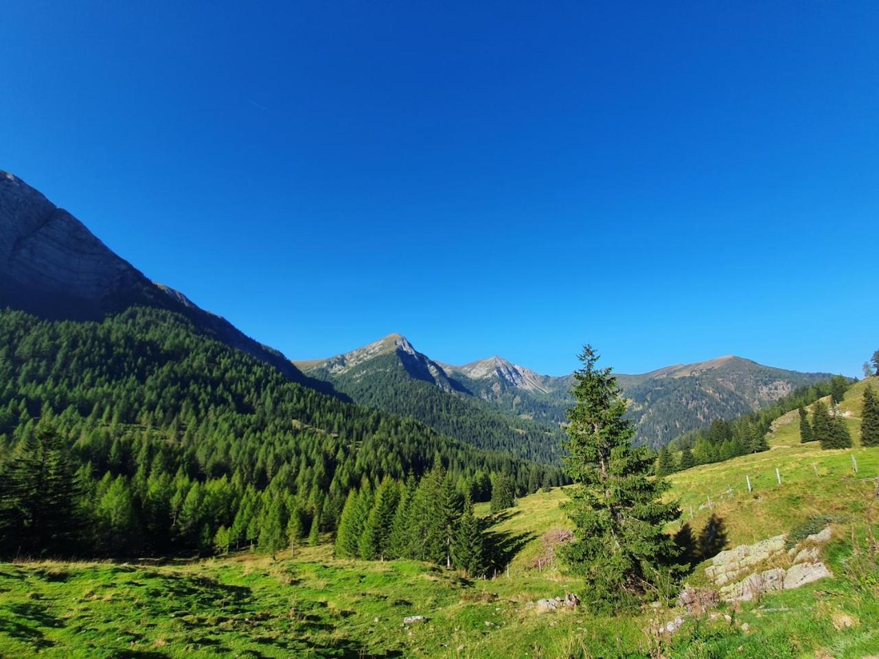 Appartamento Haus Kraller-Urlaub Mit Seeblick Millstatt Esterno foto