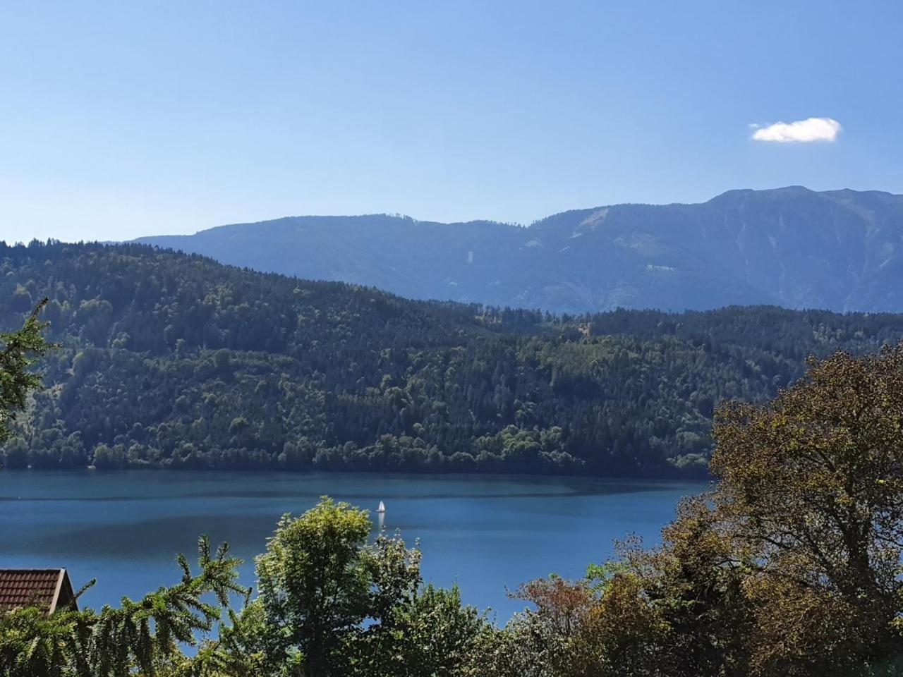 Appartamento Haus Kraller-Urlaub Mit Seeblick Millstatt Esterno foto